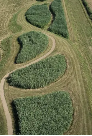 Cultures bio Phytocéane en Bretagne vues du ciel